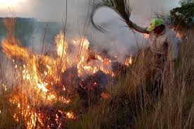 #TodosporCorrientes