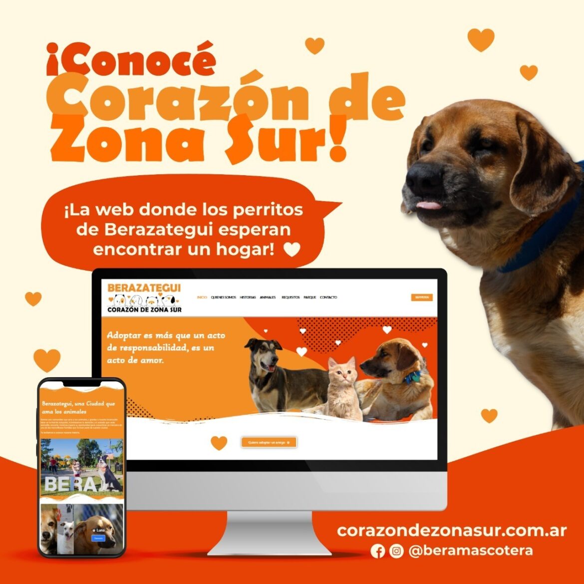 CORAZÓN DE ZONA SUR: LA WEB BERAZATEGUENSE PARA LA ADOPCIÓN DE ANIMALES