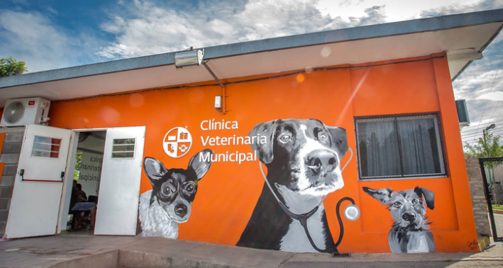 CLÍNICA VETERINARIA MUNICIPAL: LA PRIMERA EN EL PAÍS