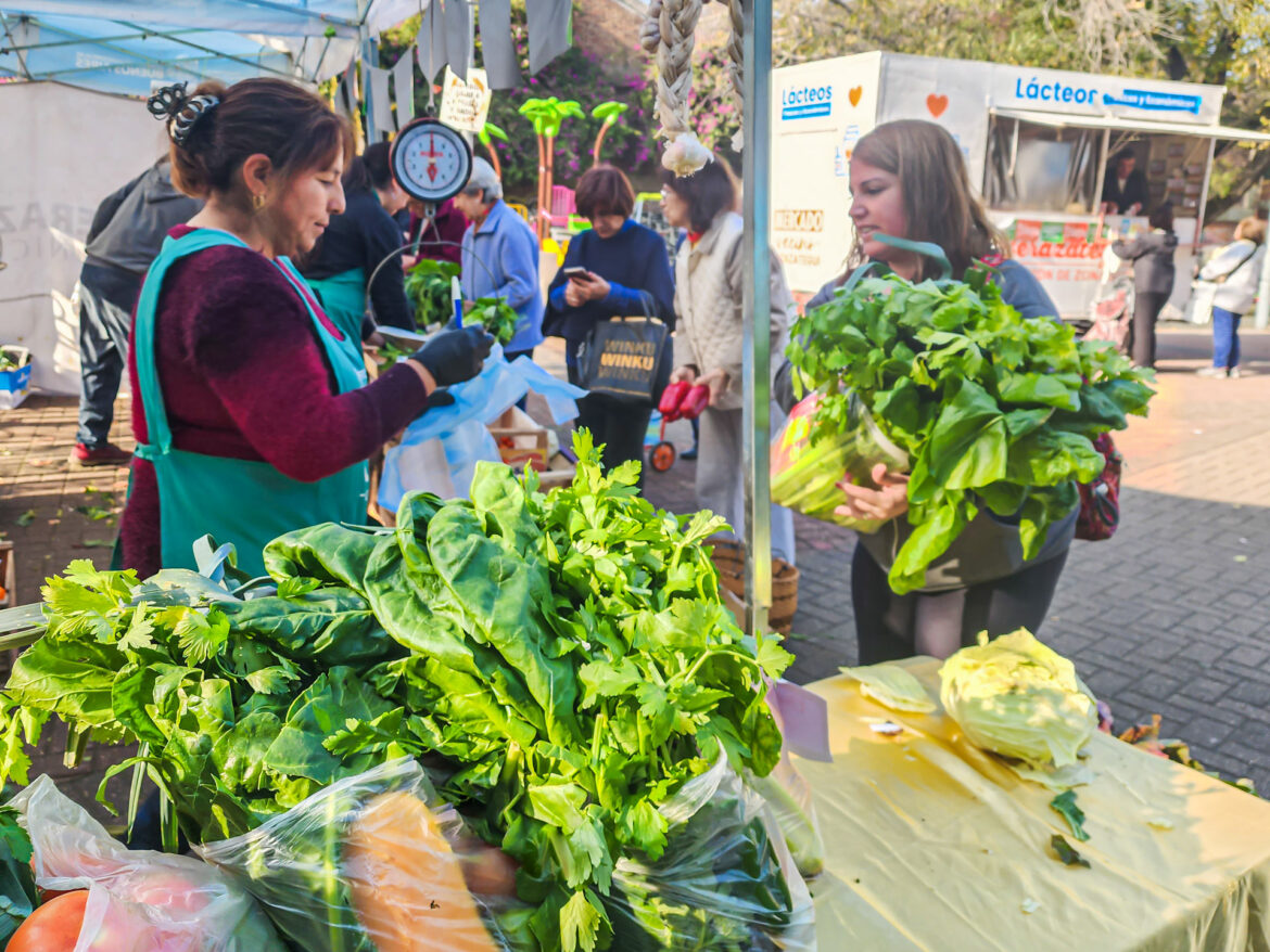 MERCADO VECINO EN LOS BARRIOS DE BERAZATEGUI