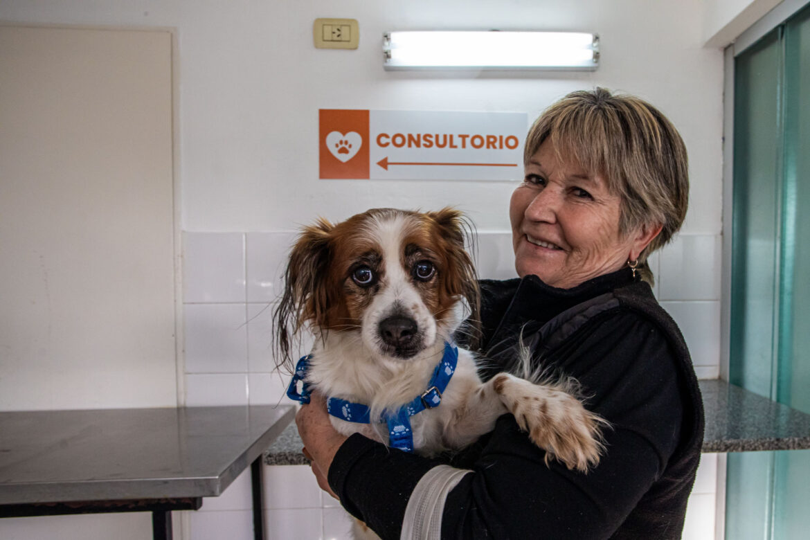 TENENCIA RESPONSABLE: QUÉ NO DAR DE COMER A PERROS NI GATOS