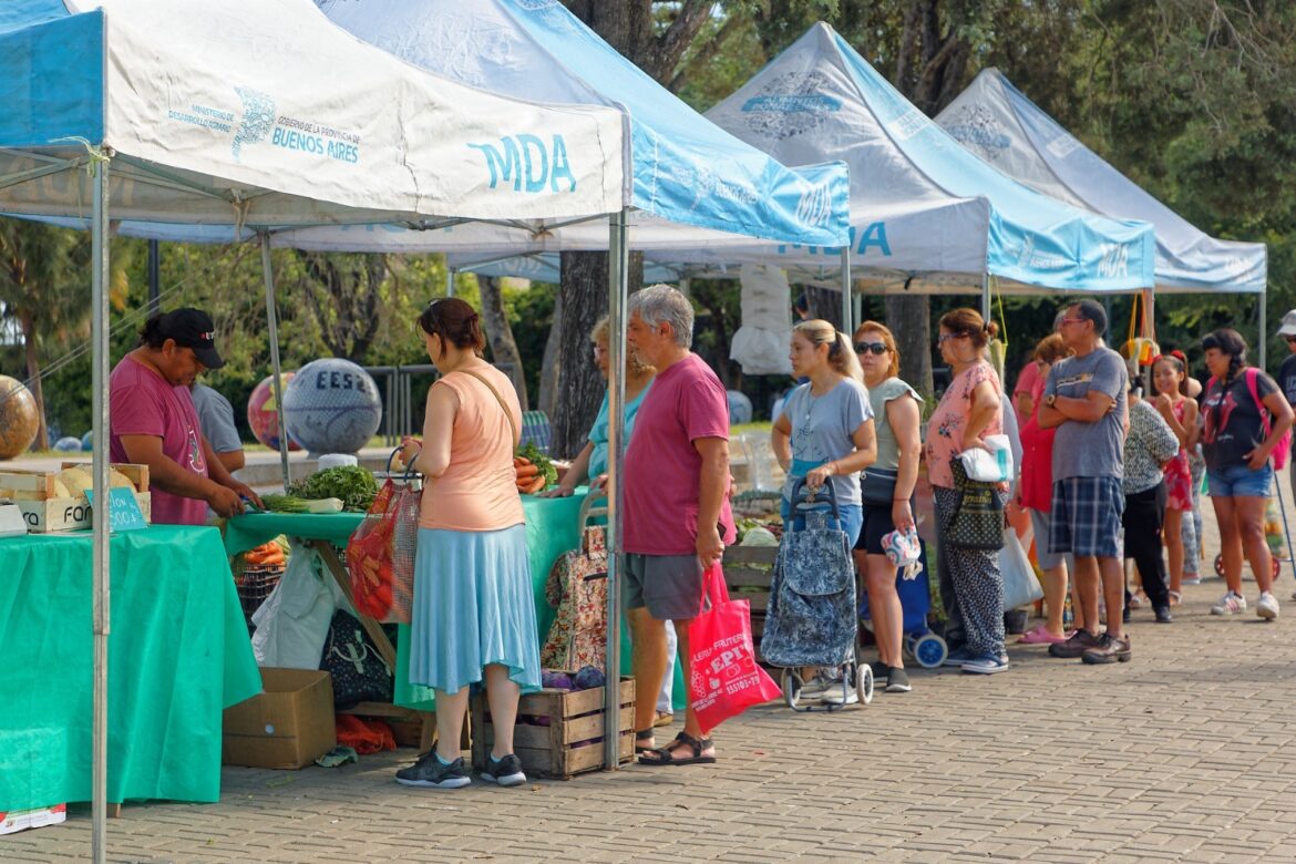 FRUTAS Y VERDURAS FRESCAS Y SIN AGROQUÍMICOS EN LA FERIA AGROECOLÓGICA