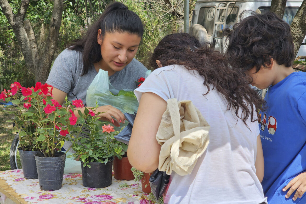 MERCADO VECINO: LA FERIA MUNICIPAL MÁS ELEGIDA EN BERAZATEGUI