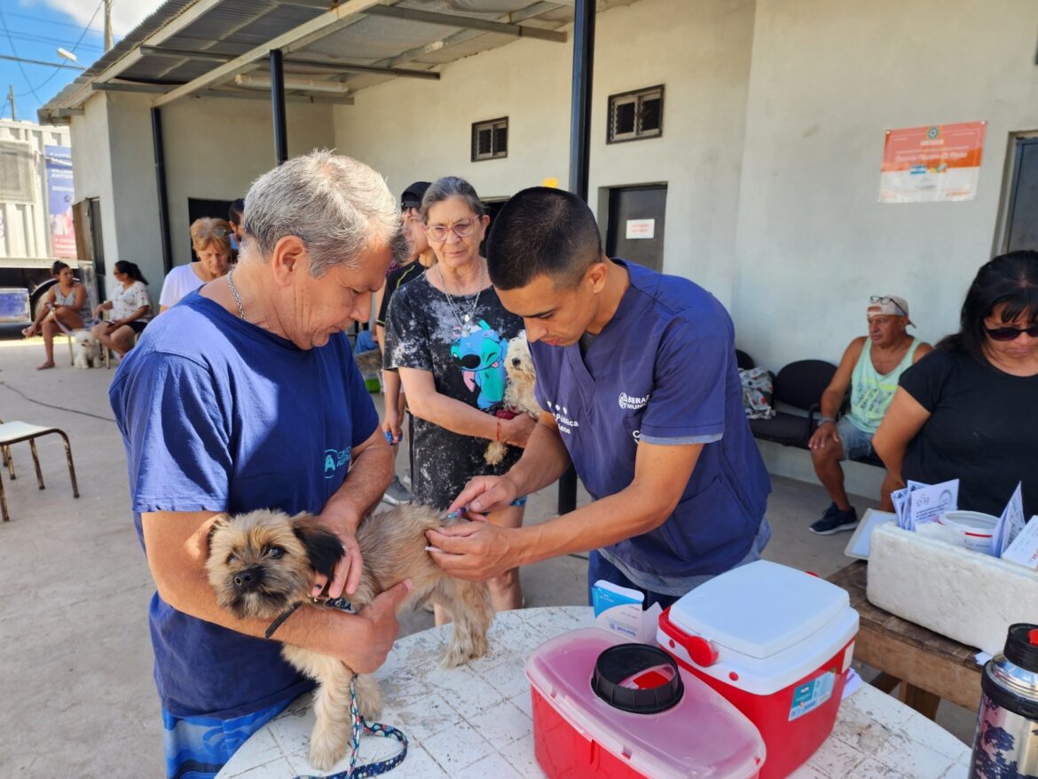 BERAZATEGUI, UNA CIUDAD QUE CUIDA Y AMA A SUS ANIMALES DE COMPAÑÍA