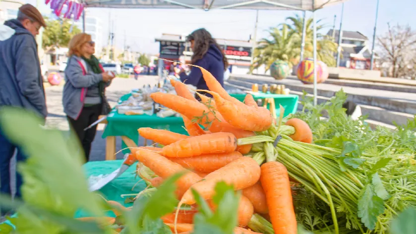 BERAZATEGUI FOMENTA LA PRODUCCIÓN RESPONSABLE Y LOS HÁBITOS DE ALIMENTACIÓN SALUDABLE