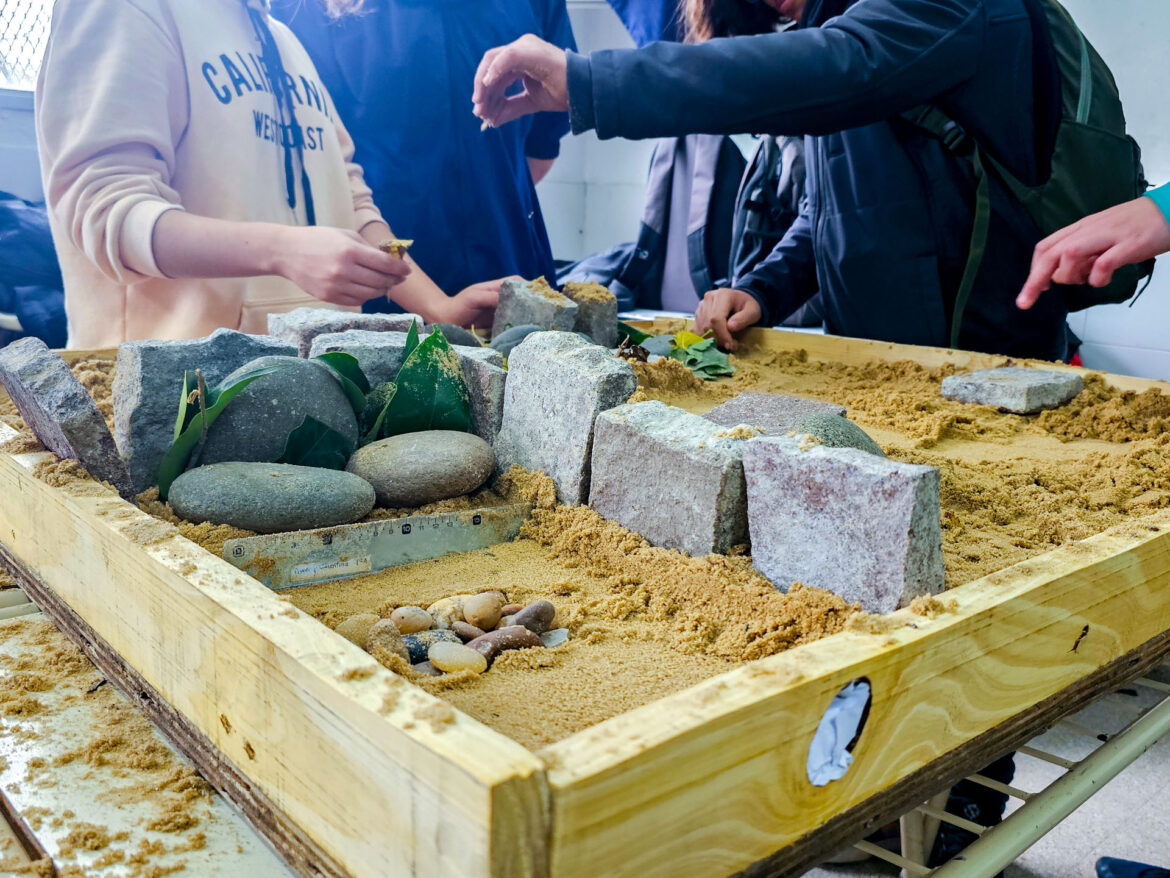 LA ESCUELA TÉCNICA 2 CONMEMORÓ EL DÍA DEL AMBIENTE CON UNA JORNADA MASIVA