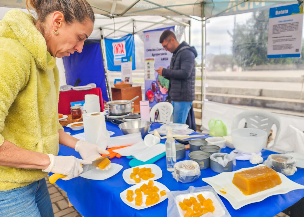 REALIZARON UNA MUESTRA DE CULTIVO DE BATATA EN LA FERIA AGROECOLÓGICA MUNICIPAL