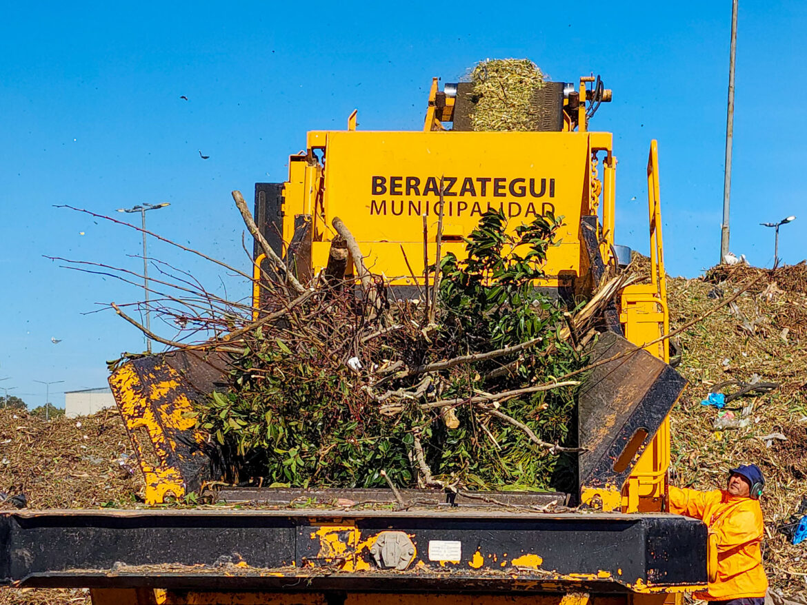 RECOMIENDAN LLEVAR DESECHOS DE PODA AL CENTRO MUNICIPAL DE GESTIÓN SUSTENTABLE